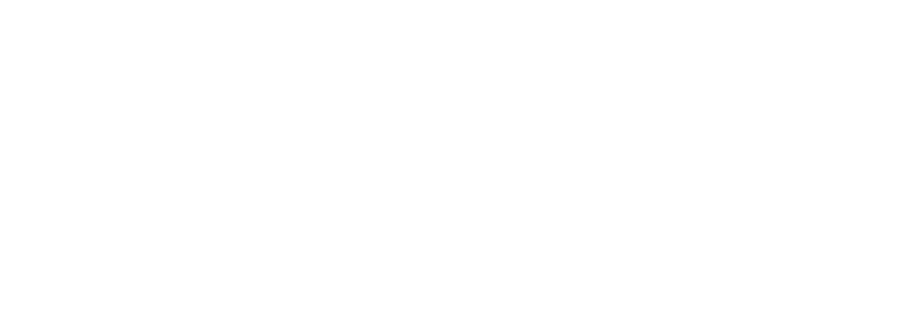 SolidRules